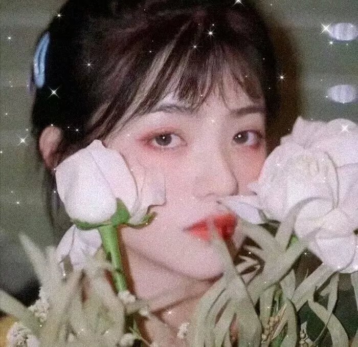 花有重开日